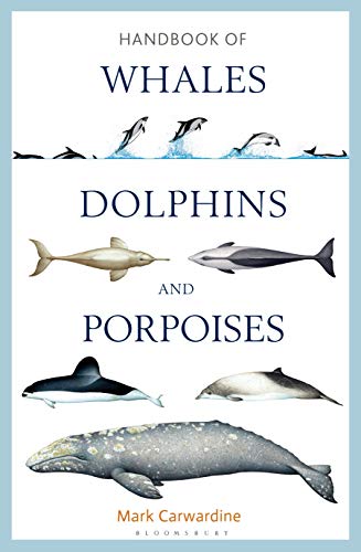 Book cover titled Handbook of Whales, Dolphins and Porpoises featuring illustrations of marine mammals.