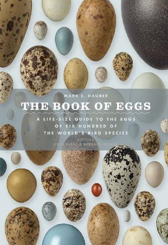 Book cover displaying a variety of realistically sized and patterned bird eggs.