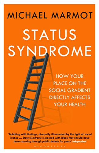 Book cover with an orange background, white text, and a dark grey ladder illustration.