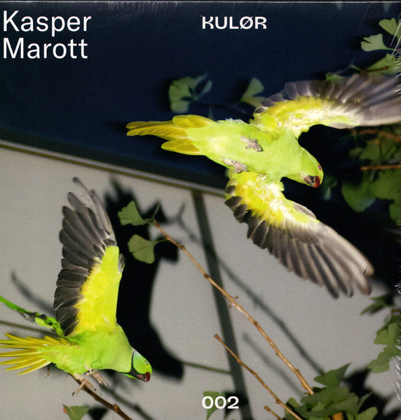 TwoSleeve art featuring two green parrots in flight against a dark background.