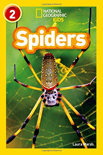Book cover featuring a golden silk orb-weaver spider on a web.