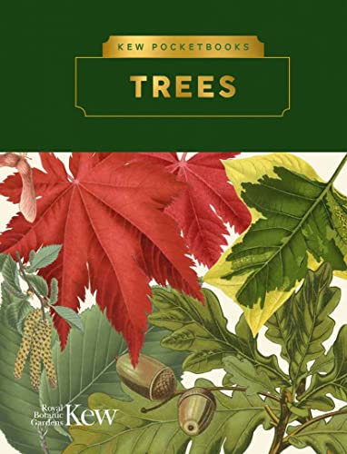 Book cover featuring illustrated red maple leaf and green foliage.