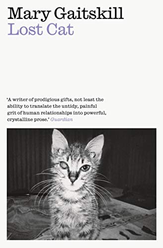 Book cover for Lost Cat by Mary Gaitskill featuring a black and white cat.