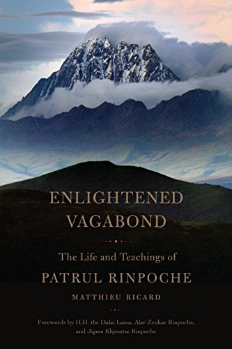Book cover: mountain landscape with title “Enlightened Vagabond” and author name.