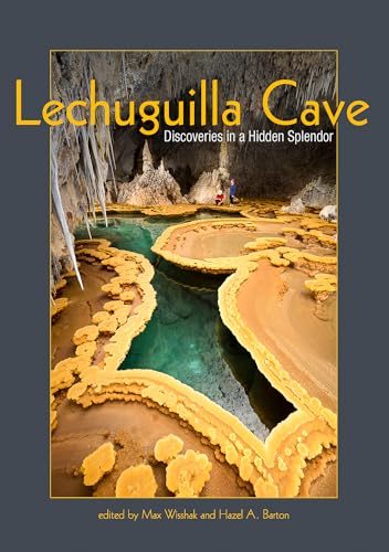 Image of a cave entrance or interior with natural rock formations and darkness.
