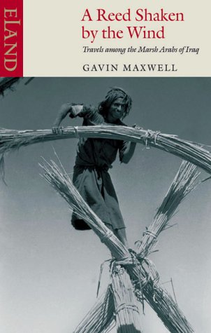 Book cover featuring a young person climbing a reed structure.