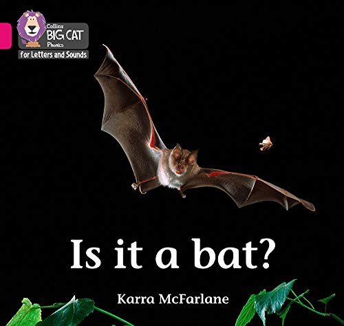 Book cover featuring a bat in flight against a dark background.