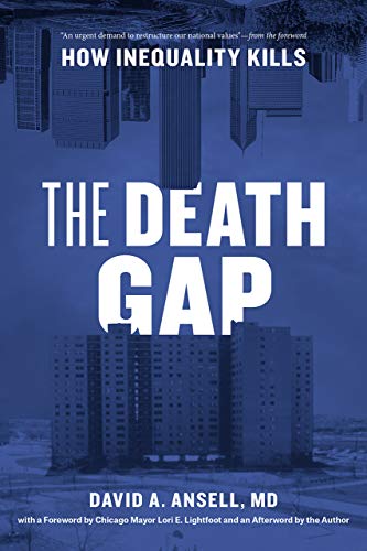 Book cover: "The Death Gap" with city skyline and housing projects.