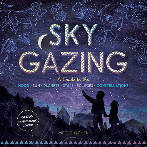 Book cover showing a starry night sky with constellations and two people looking up.