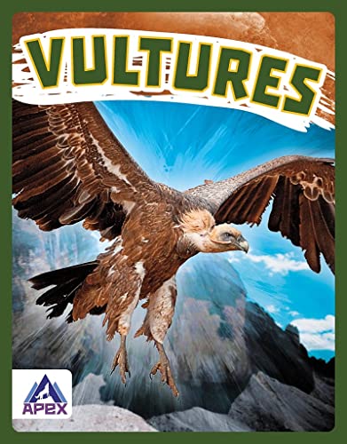 Book cover: a vulture in flight against a mountainous, blue sky.