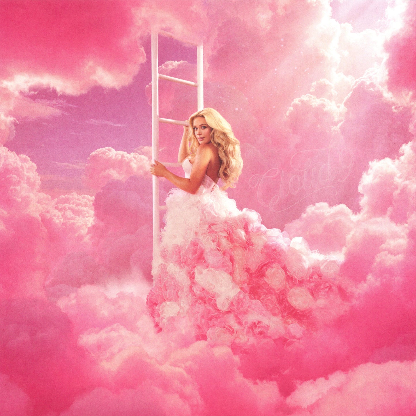 Megan Moroney in a pink ruffled gown climbing a ladder amidst pink clouds.
