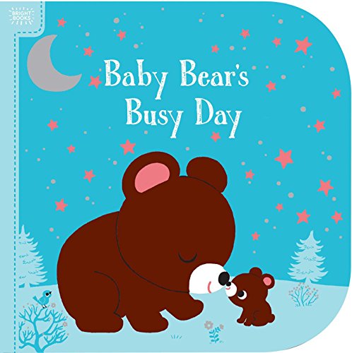 Book cover with a brown bear and cub against a starry blue background.