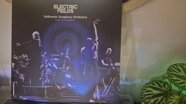 Vinyl album cover depicting musicians performing on a stage, in grayscale.