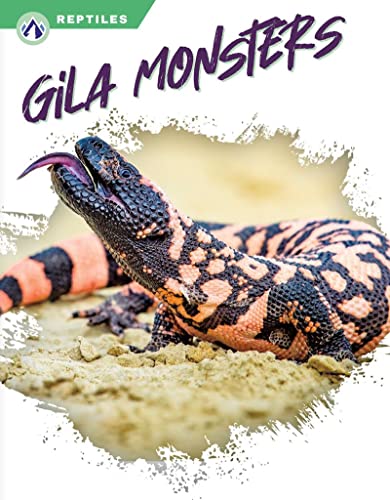 Close-up of a colorful Gila monster with its tongue extended.