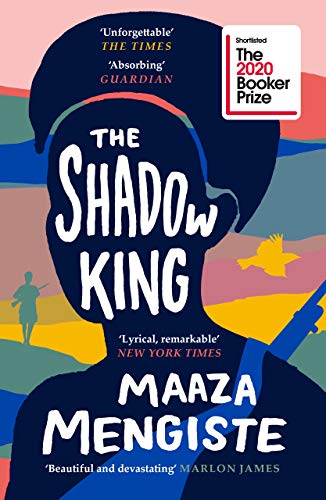 Book cover featuring a dark silhouette of a person against a colorful landscape background.