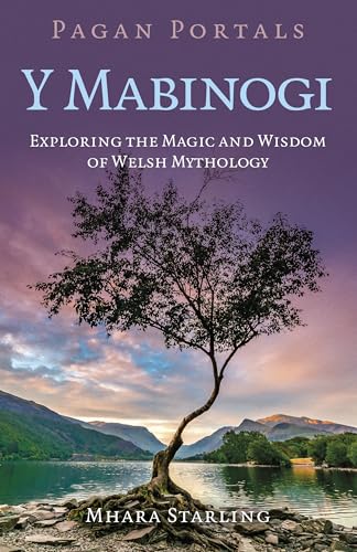 Book cover with a tree silhouetted against a Welsh landscape.