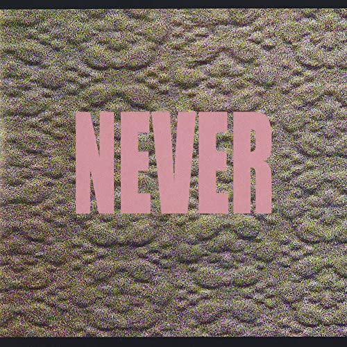 CD cover with distorted pink text reading "NEVER" on a static background.