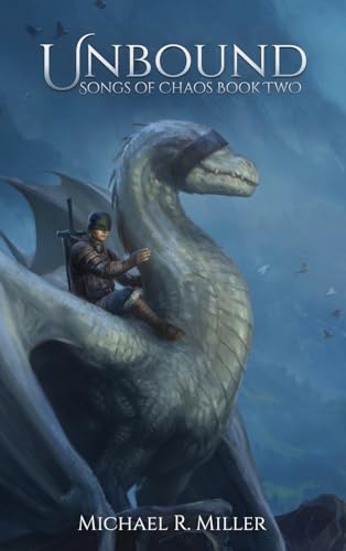 Man riding large gray dragon in dark fantasy setting with cloudy blue background.