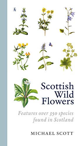 Book cover titled Scottish Wild Flowers featuring various botanical illustrations of plants and flowers.