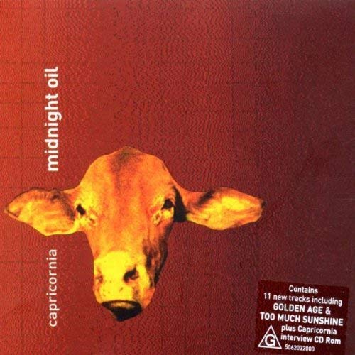 CD cover for Midnight Oil’s “Capricornia” featuring a cow’s head.
