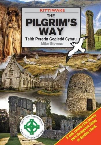 Book cover featuring Welsh ruins, a statue, and a coastal path.
