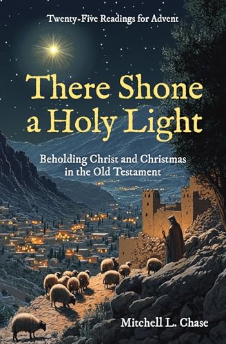 Book cover depicting a starry night over a Middle Eastern village.