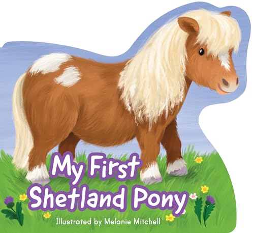 Illustration of a brown and white Shetland pony standing in a grassy field.