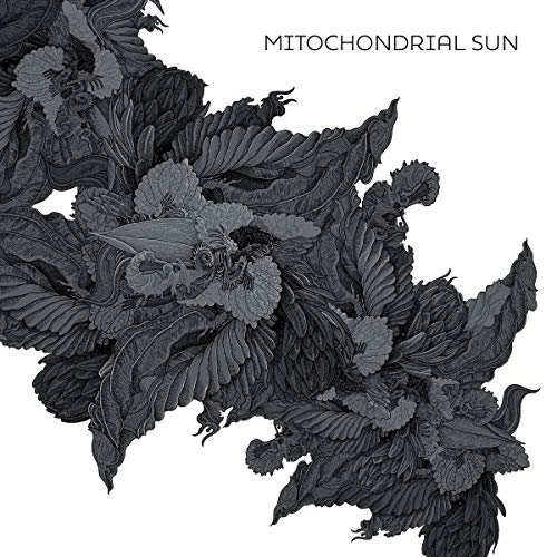 Black and white floral illustration for the album “Mitochondrial Sun.”
