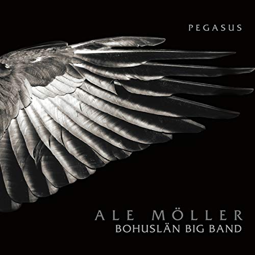 CD cover: grayscale image of a bird’s wing with text “Pegasus”.