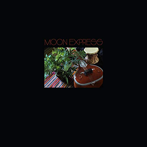 Vinyl cover showing a sitar, a small drum, and a plant on striped fabric.