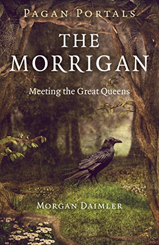 Book cover featuring a raven in a dark, misty forest scene.