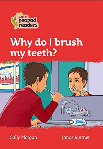 Book cover: child brushing teeth in front of a mirror.