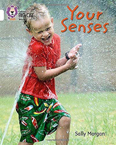 Boy playing in sprinkler, book cover for "Your Senses.