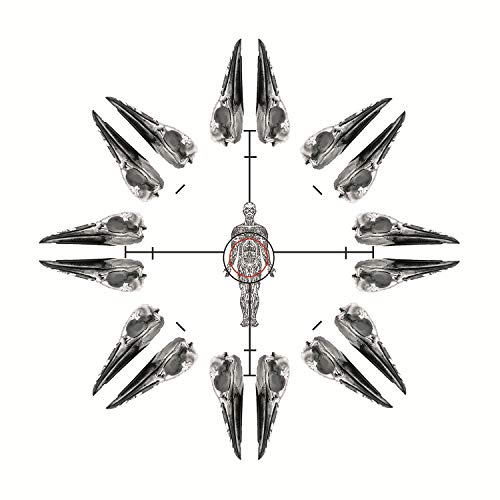 CD cover with a symmetrical arrangement of bird skulls around a human figure.