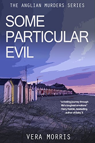 Book cover showing colorful beach huts on a sandy shore at sunset.