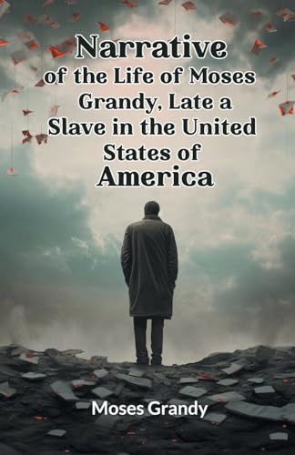 Book cover: a lone figure stands before a stormy, paper-filled landscape.