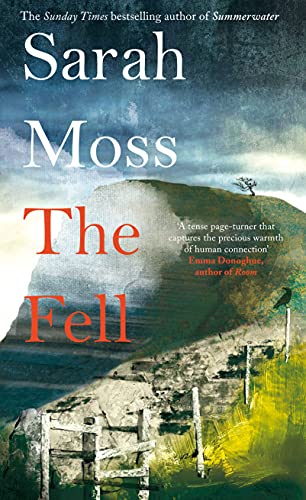 Book cover for “The Fell” by Sarah Moss, featuring a hillside and raven.