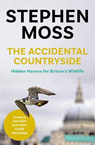 Book cover featuring a falcon in flight over a cityscape.