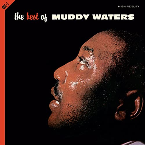 Muddy Waters album cover: profile portrait in warm tones, black background.