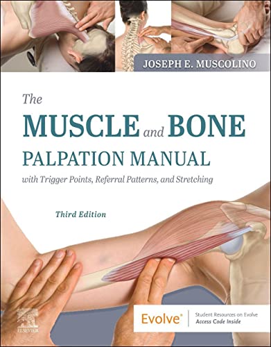Anatomy textbook cover showing hands palpating muscles, spine, and stretching.