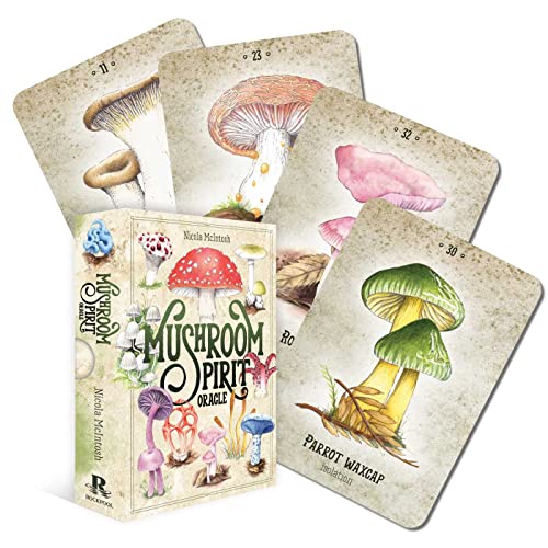 Mushroom Spirit Oracle deck box and four illustrated mushroom cards on a white background.