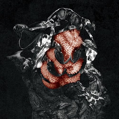Dark, textured image of a figure with a red, organic heart-like center.
