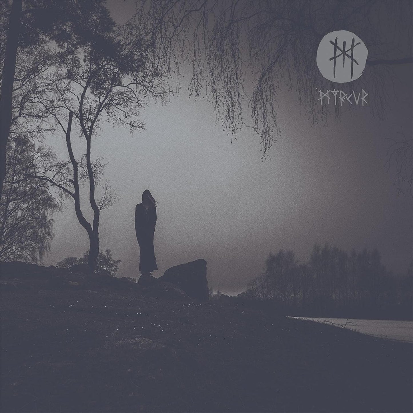Dark album cover with a lone figure under bare trees and fog.
