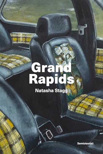 Book cover: car interior painting with floral and plaid patterns.