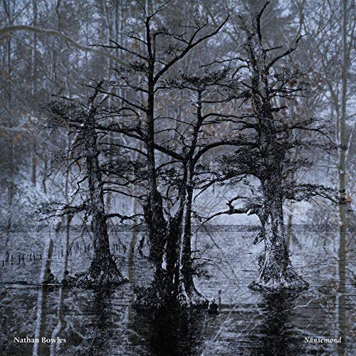 Dark, misty swamp scene with bare trees and water reflections.