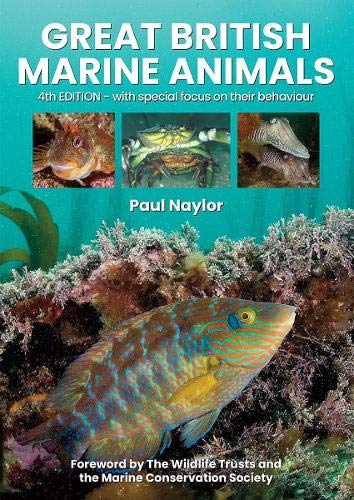 Book cover titled Great British Marine Animals showing underwater photographs of fish and crustaceans.