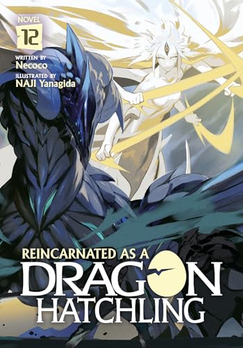 Light novel cover with a blue dragon and a pale figure.