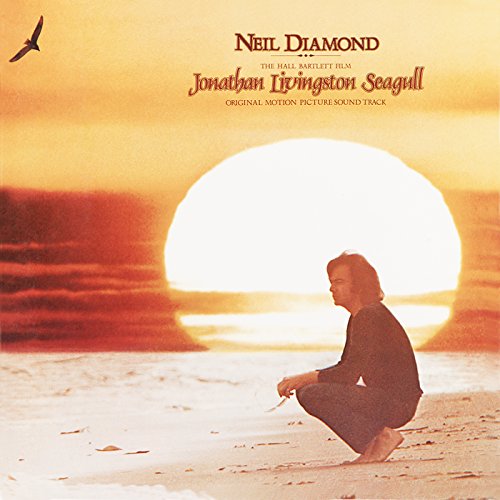 Neil Diamond crouches on a beach at sunset with a seagull flying overhead.