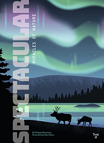 Book cover: reindeer under aurora borealis and forested mountains.