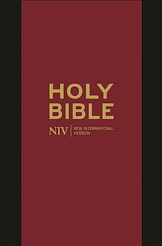 Red leather-bound NIV Bible with gold lettering, closed.
